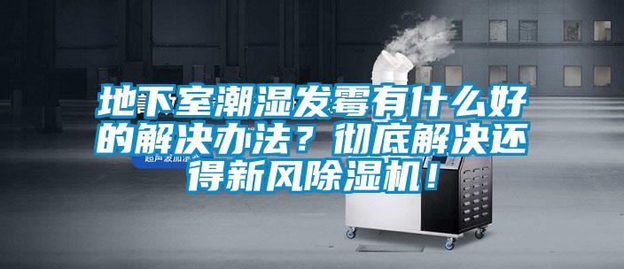 地下室潮濕發(fā)霉有什么好的解決辦法？徹底解決還得新風(fēng)除濕機(jī)！