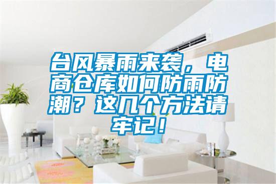 臺風暴雨來襲，電商倉庫如何防雨防潮？這幾個方法請牢記！