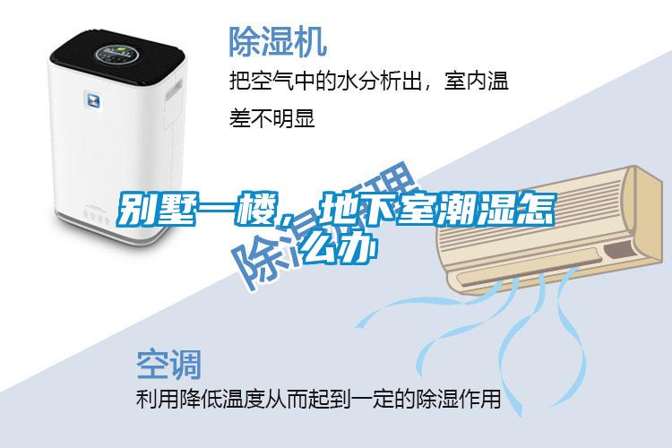 別墅一樓，地下室潮濕怎么辦