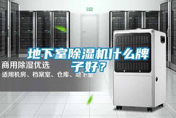 地下室除濕機(jī)什么牌子好？