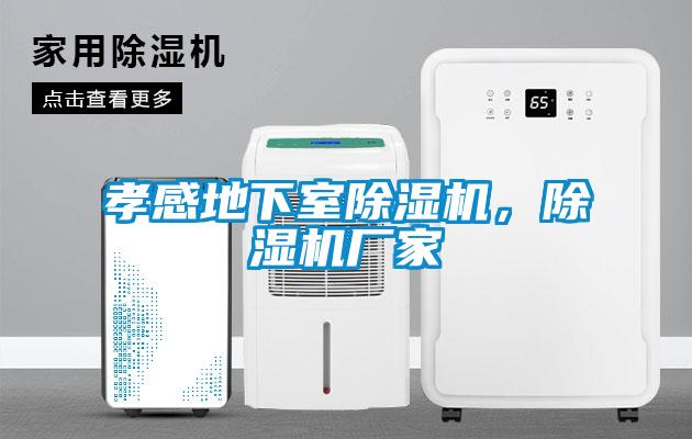 孝感地下室除濕機(jī)，除濕機(jī)廠家