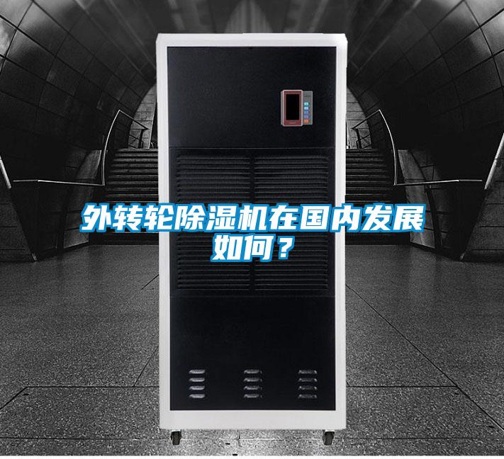 外轉輪除濕機在國內發展如何？