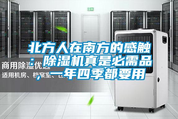 北方人在南方的感觸：除濕機真是必需品，一年四季都要用