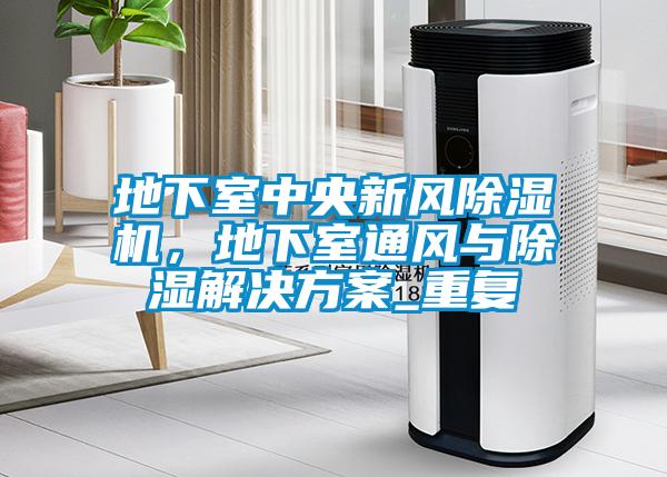 地下室中央新風(fēng)除濕機(jī)，地下室通風(fēng)與除濕解決方案_重復(fù)