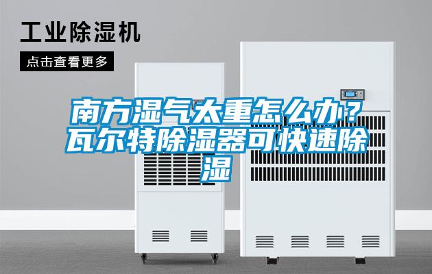 南方濕氣太重怎么辦？瓦爾特除濕器可快速除濕