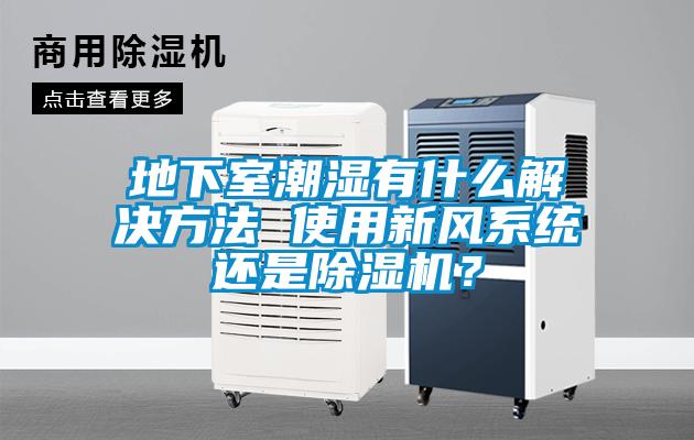 地下室潮濕有什么解決方法 使用新風(fēng)系統(tǒng)還是除濕機？