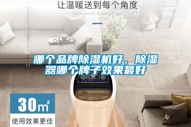 哪個(gè)品牌除濕機(jī)好，除濕器哪個(gè)牌子效果最好