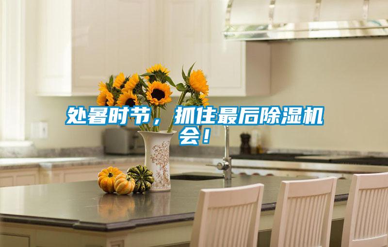 處暑時節，抓住最后除濕機會！