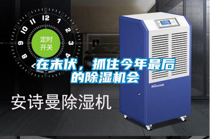 在末伏，抓住今年最后的除濕機(jī)會(huì)