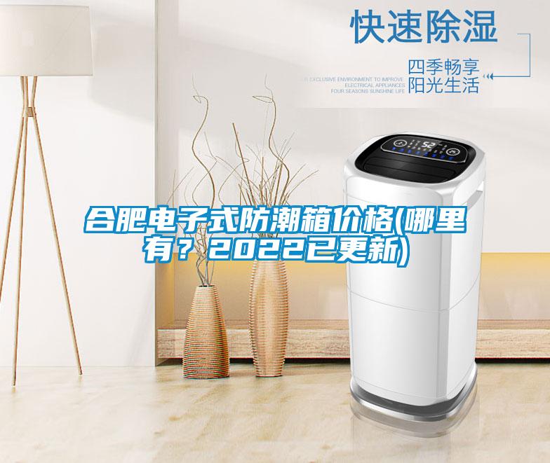 合肥電子式防潮箱價(jià)格(哪里有？2022已更新)