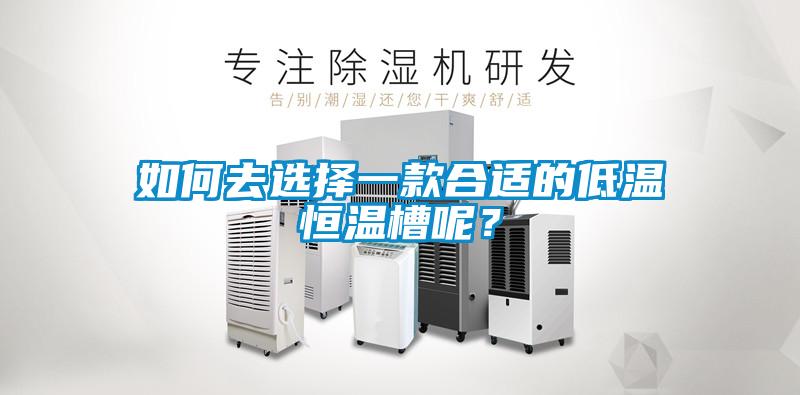 如何去選擇一款合適的低溫恒溫槽呢？