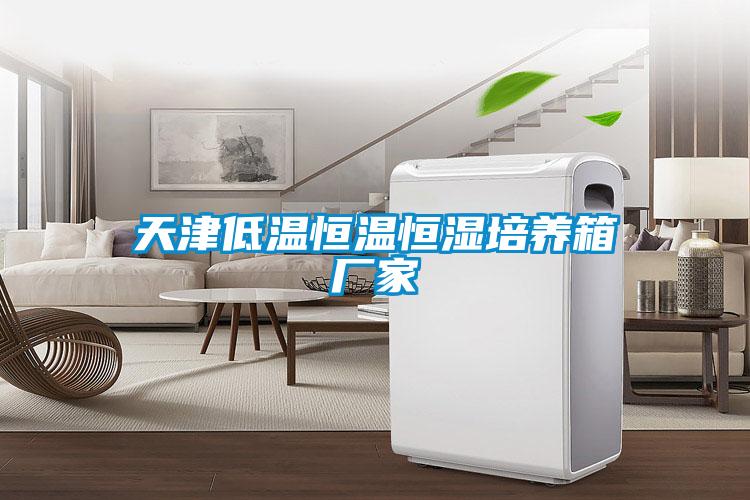 天津低溫恒溫恒濕培養(yǎng)箱廠(chǎng)家