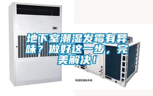 地下室潮濕發(fā)霉有異味？做好這一步，完美解決！