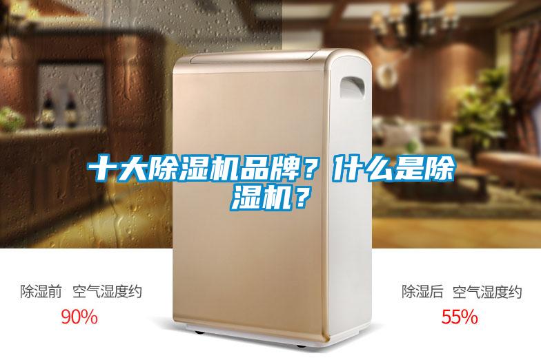 十大除濕機品牌？什么是除濕機？