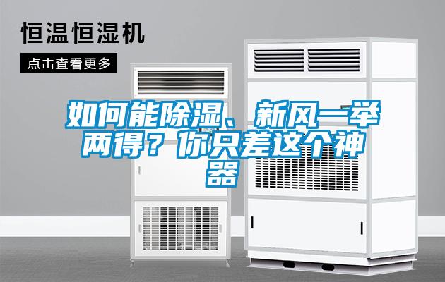 如何能除濕、新風(fēng)一舉兩得？你只差這個(gè)神器