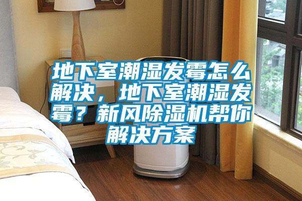 地下室潮濕發(fā)霉怎么解決，地下室潮濕發(fā)霉？新風(fēng)除濕機(jī)幫你解決方案