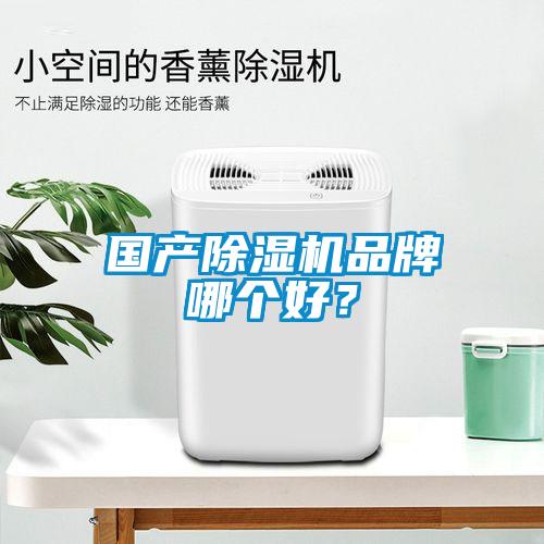 國產除濕機品牌哪個好？