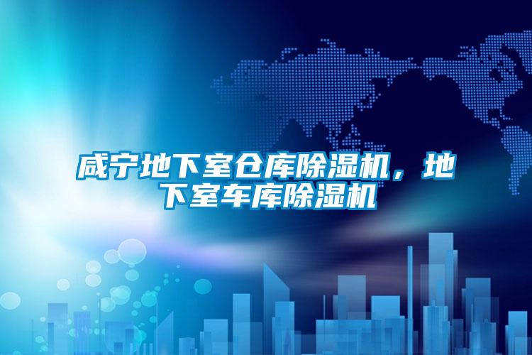 咸寧地下室倉(cāng)庫(kù)除濕機(jī)，地下室車(chē)庫(kù)除濕機(jī)