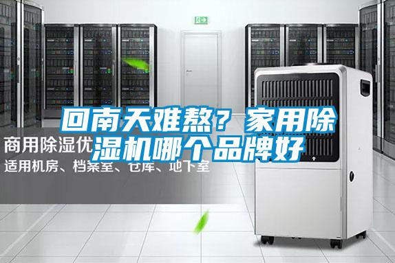回南天難熬？家用除濕機(jī)哪個(gè)品牌好