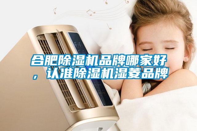 合肥除濕機品牌哪家好，認準除濕機濕菱品牌