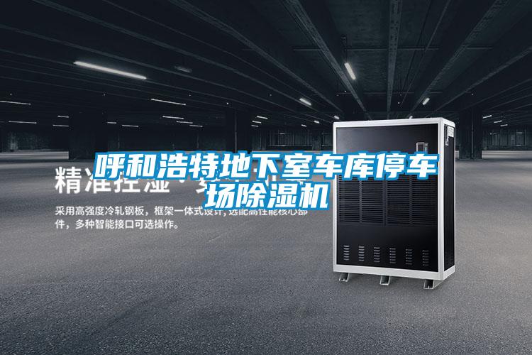 呼和浩特地下室車庫停車場除濕機(jī)