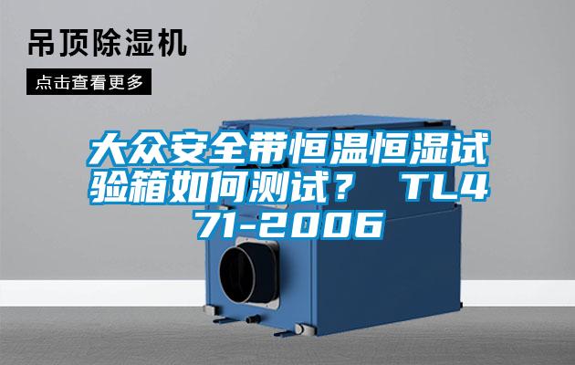 大眾安全帶恒溫恒濕試驗(yàn)箱如何測(cè)試？ TL471-2006