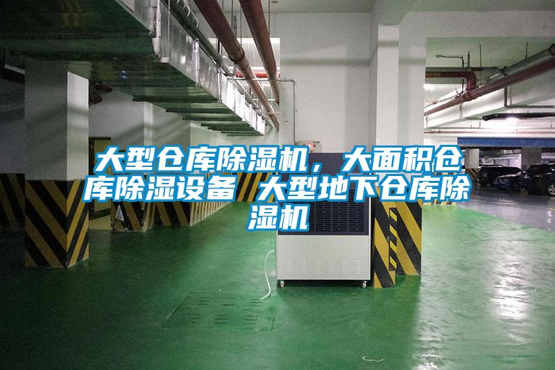 大型倉(cāng)庫(kù)除濕機(jī)，大面積倉(cāng)庫(kù)除濕設(shè)備 大型地下倉(cāng)庫(kù)除濕機(jī)