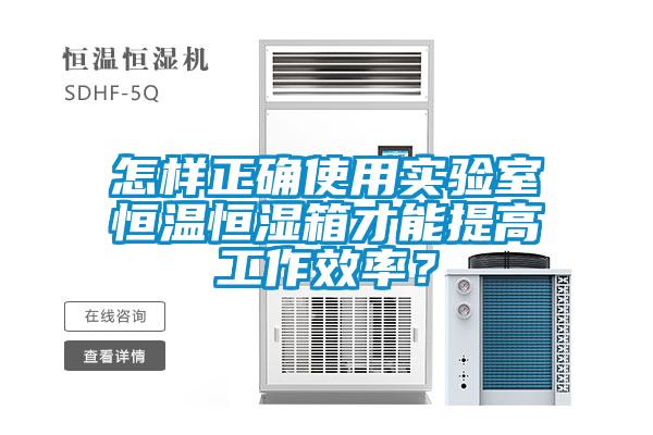 怎樣正確使用實驗室恒溫恒濕箱才能提高工作效率？