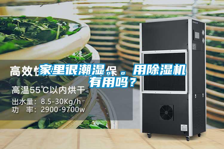 家里很潮濕。。用除濕機(jī)有用嗎？