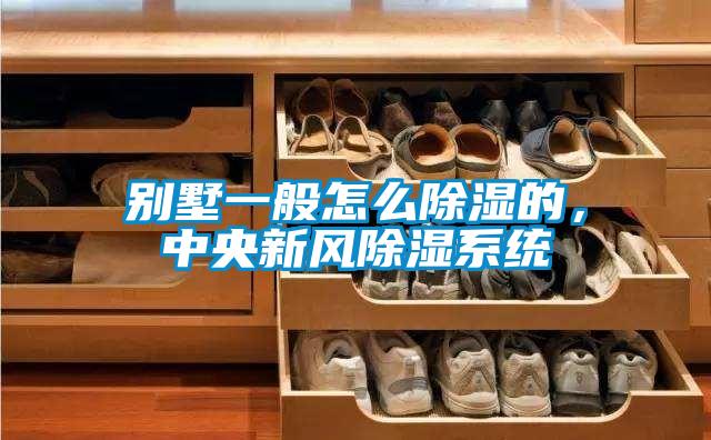 別墅一般怎么除濕的，中央新風(fēng)除濕系統(tǒng)