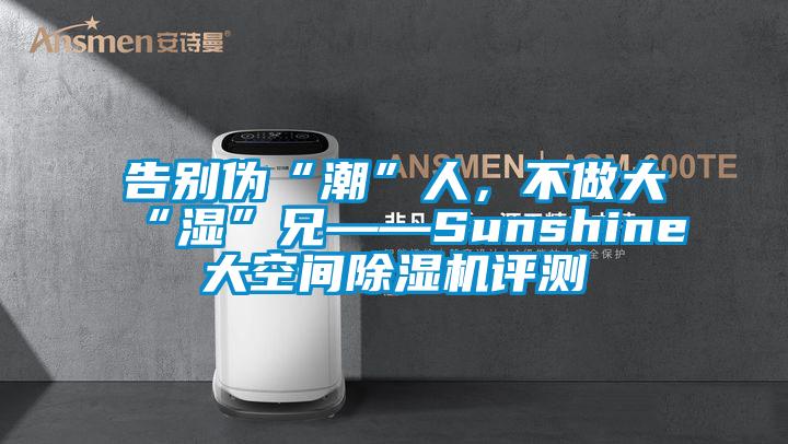 告別偽“潮”人，不做大“濕”兄——Sunshine大空間除濕機(jī)評(píng)測(cè)