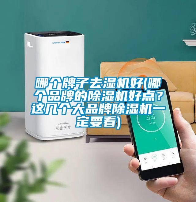 哪個牌子去濕機(jī)好(哪個品牌的除濕機(jī)好點(diǎn)？這幾個大品牌除濕機(jī)一定要看)