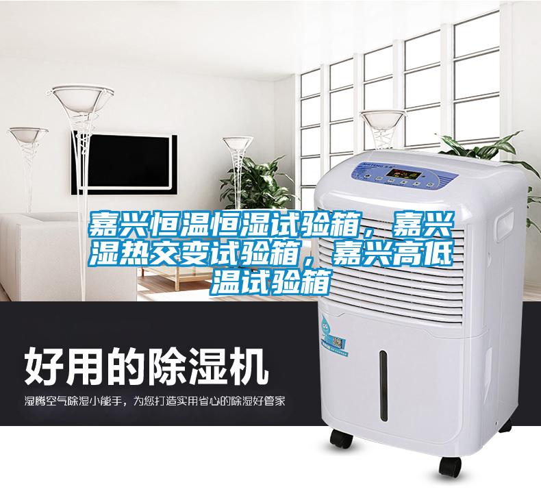 嘉興恒溫恒濕試驗箱，嘉興濕熱交變試驗箱，嘉興高低溫試驗箱