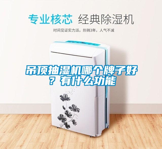 吊頂抽濕機哪個牌子好？有什么功能