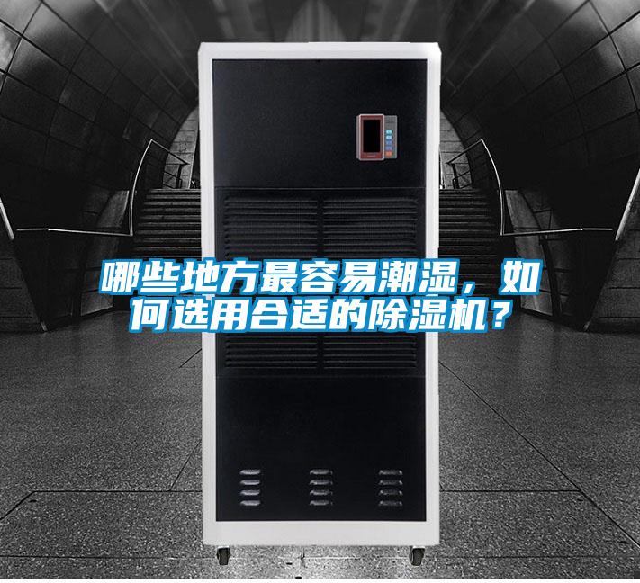 哪些地方最容易潮濕，如何選用合適的除濕機(jī)？