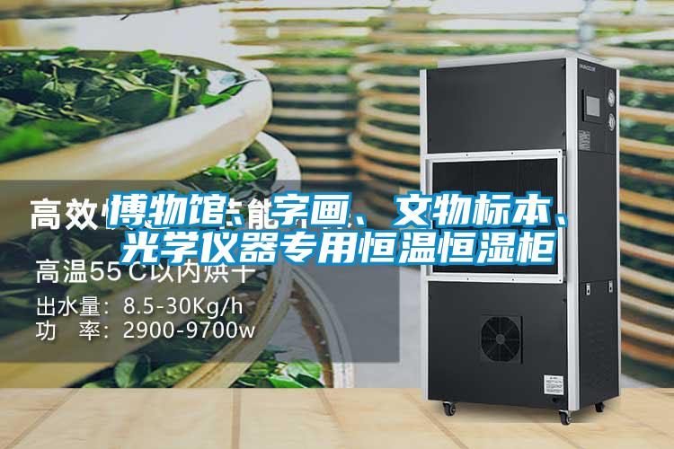 博物館、字畫、文物標(biāo)本、光學(xué)儀器專用恒溫恒濕柜