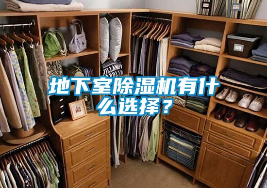 地下室除濕機(jī)有什么選擇？