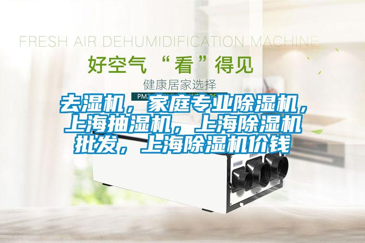 去濕機，家庭專業(yè)除濕機，上海抽濕機，上海除濕機批發(fā)，上海除濕機價錢