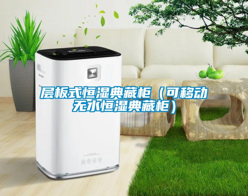 層板式恒濕典藏柜（可移動(dòng)無水恒濕典藏柜）