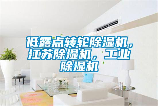 低露點(diǎn)轉(zhuǎn)輪除濕機(jī)，江蘇除濕機(jī)，工業(yè)除濕機(jī)