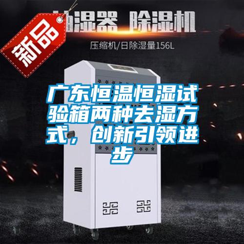 廣東恒溫恒濕試驗(yàn)箱兩種去濕方式，創(chuàng)新引領(lǐng)進(jìn)步