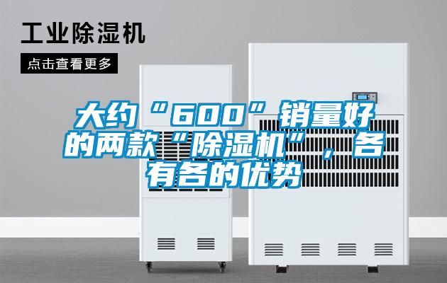 大約“600”銷量好的兩款“除濕機(jī)”，各有各的優(yōu)勢(shì)