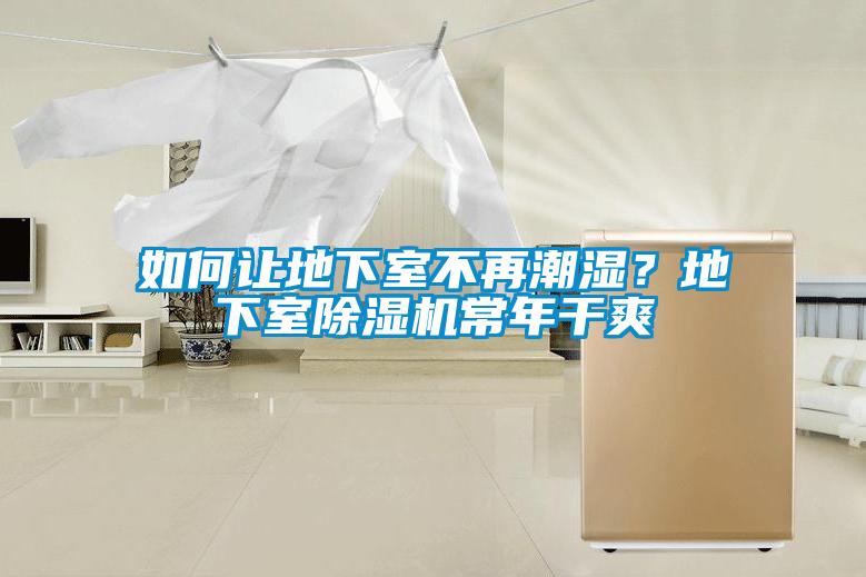 如何讓地下室不再潮濕？地下室除濕機(jī)常年干爽