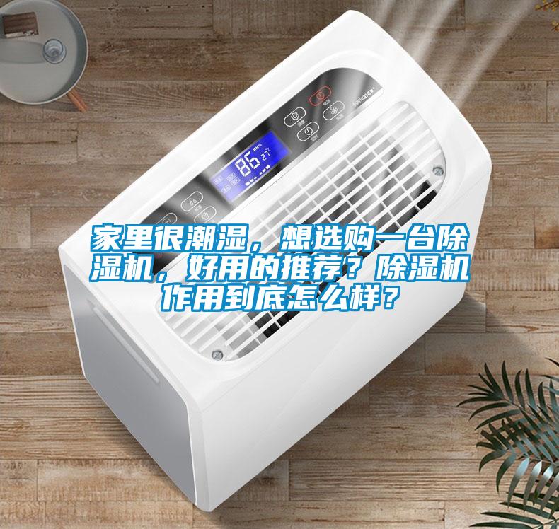 家里很潮濕，想選購一臺除濕機，好用的推薦？除濕機作用到底怎么樣？