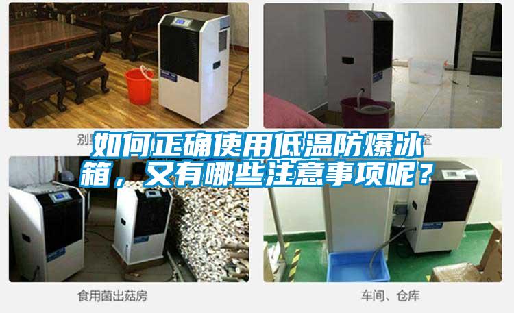 如何正確使用低溫防爆冰箱，又有哪些注意事項(xiàng)呢？