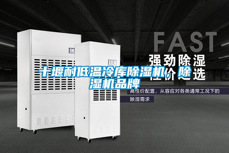 十堰耐低溫冷庫(kù)除濕機(jī)，除濕機(jī)品牌