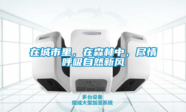 在城市里，在森林中，盡情呼吸自然新風(fēng)