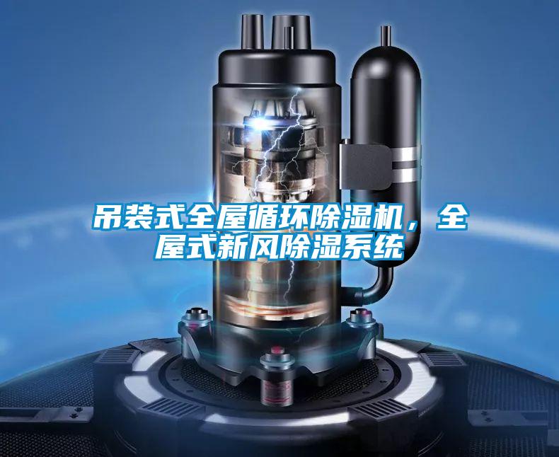 吊裝式全屋循環(huán)除濕機，全屋式新風除濕系統(tǒng)