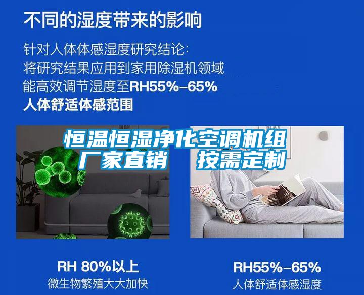 恒溫恒濕凈化空調(diào)機(jī)組 廠家直銷(xiāo)  按需定制