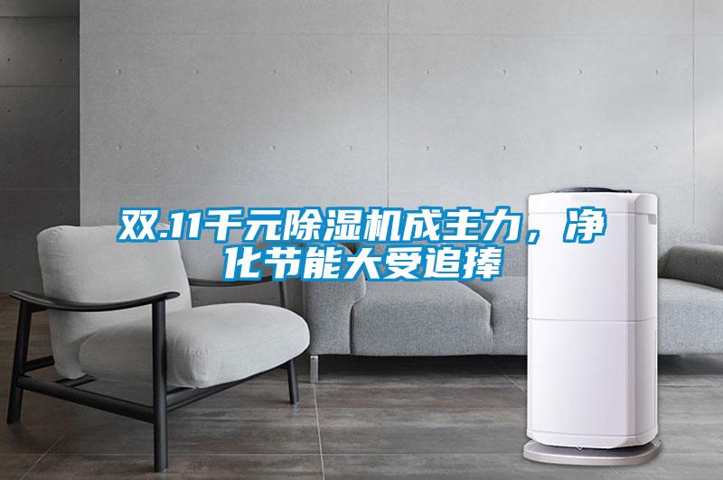雙.11千元除濕機成主力，凈化節(jié)能大受追捧